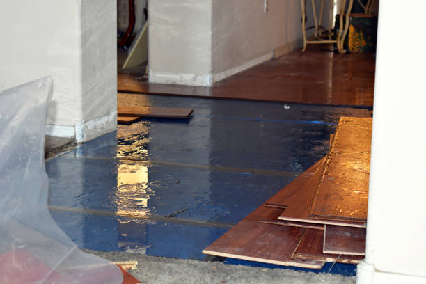 Professional Basement Water Removal technician working in D'Iberville, MS